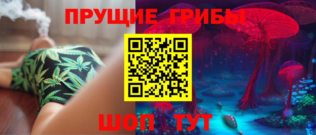 Коркино  Галлюциногенные грибы прущие грибы  Вход с VPN 